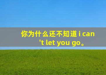 你为什么还不知道 i can't let you go。